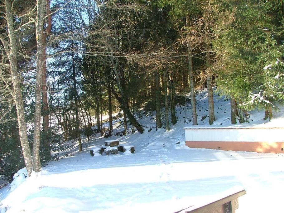 Maison D'Altitude Avec Vue Panoramique A Gérardmer Kültér fotó