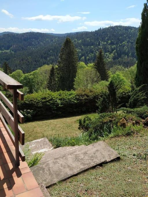 Maison D'Altitude Avec Vue Panoramique A Gérardmer Kültér fotó
